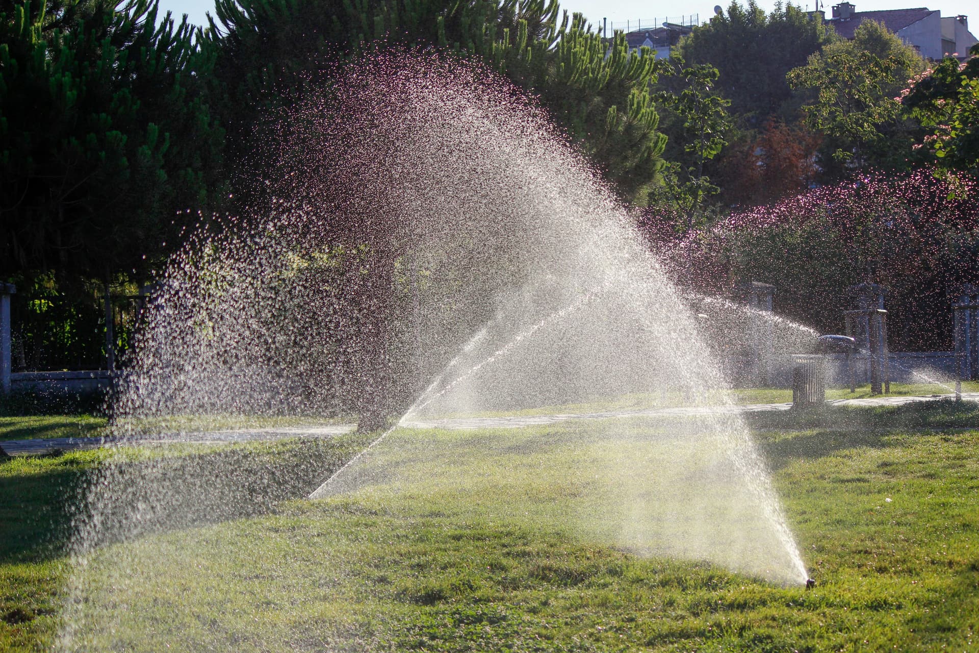 Irrigation services by PLVA