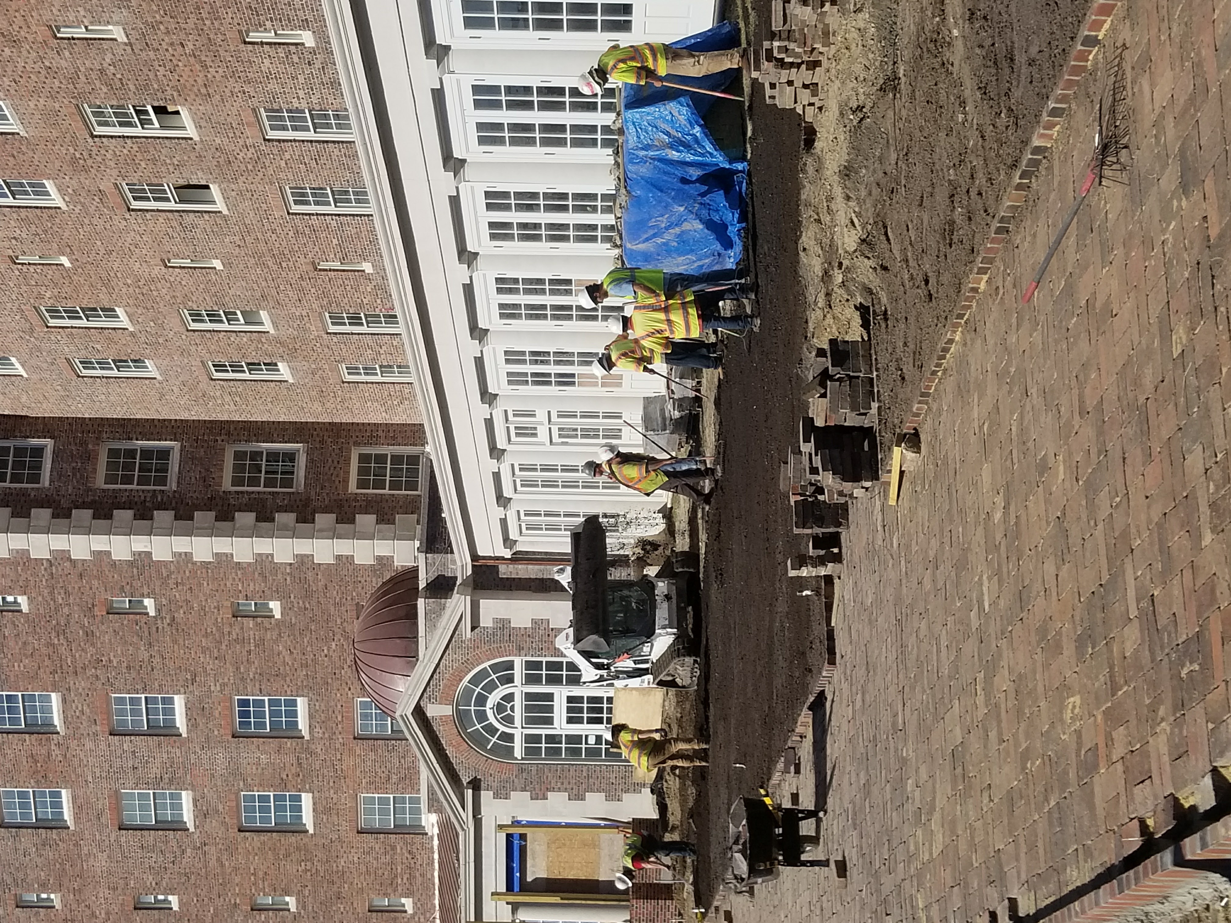 Expert Grading & Earthwork